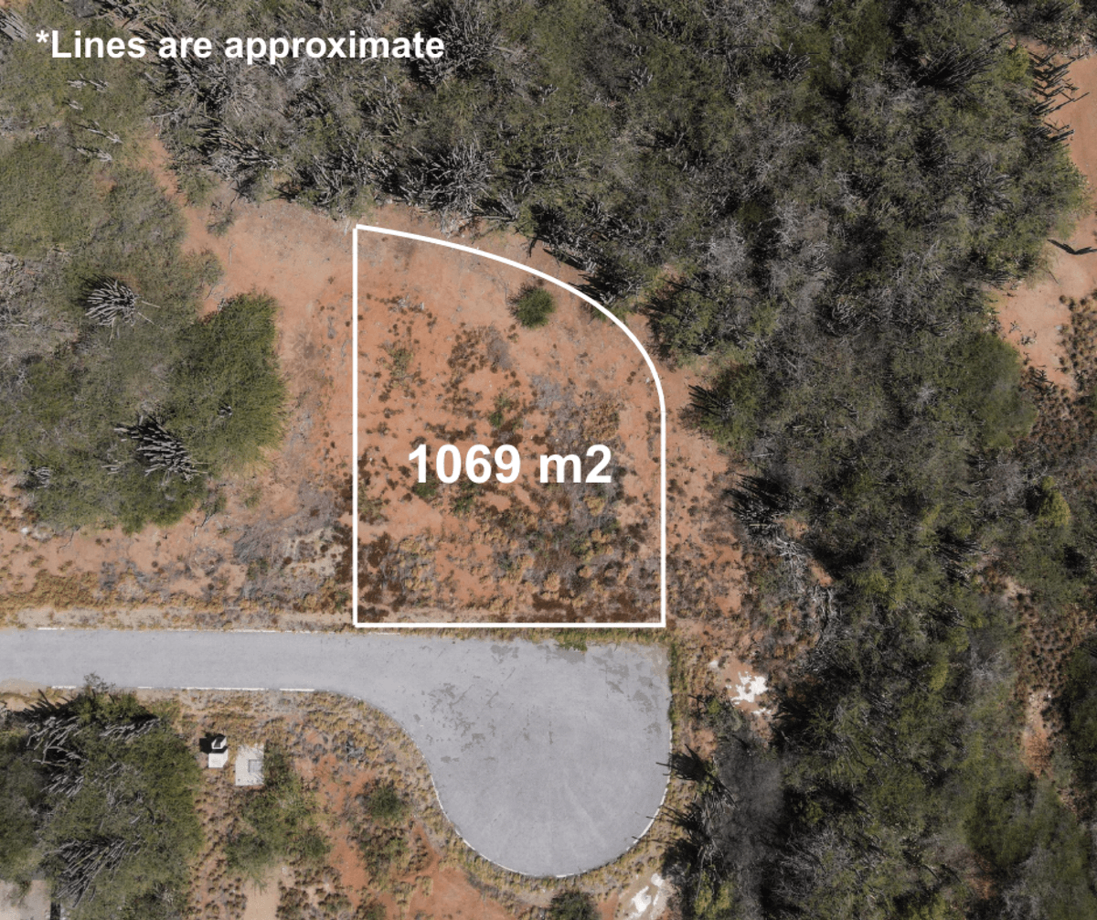 Main property