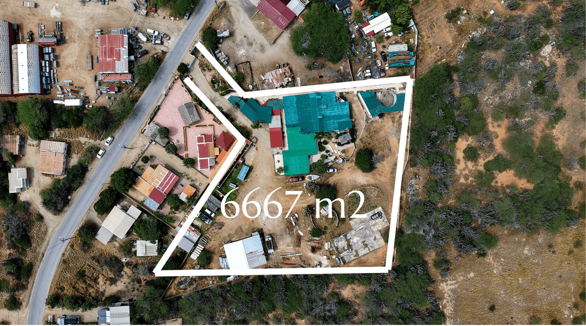 Main property