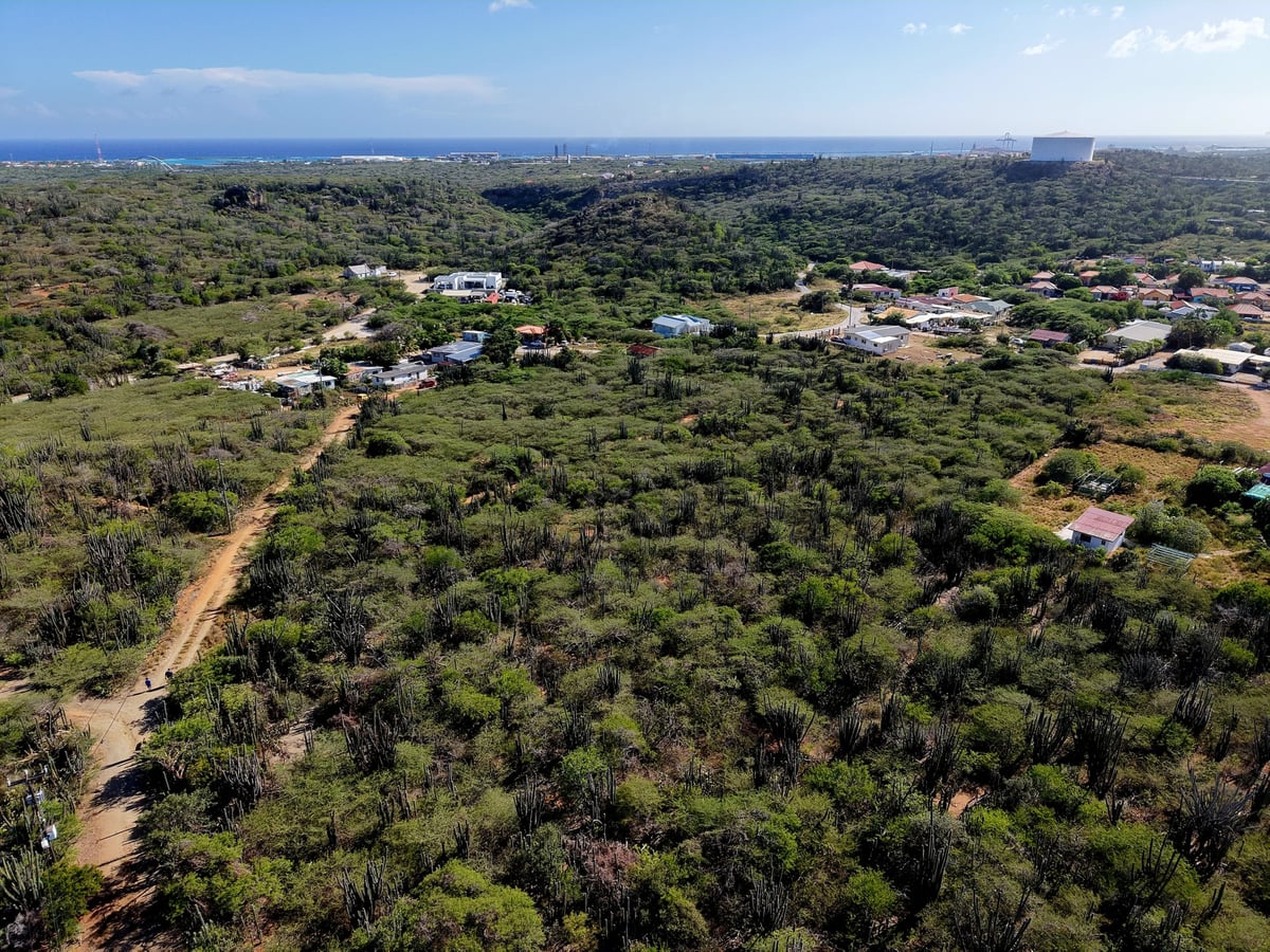 Main property