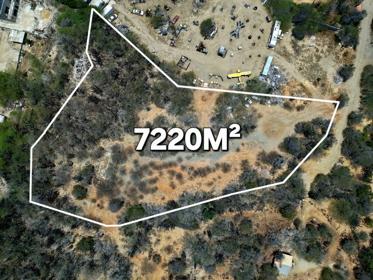 Main property