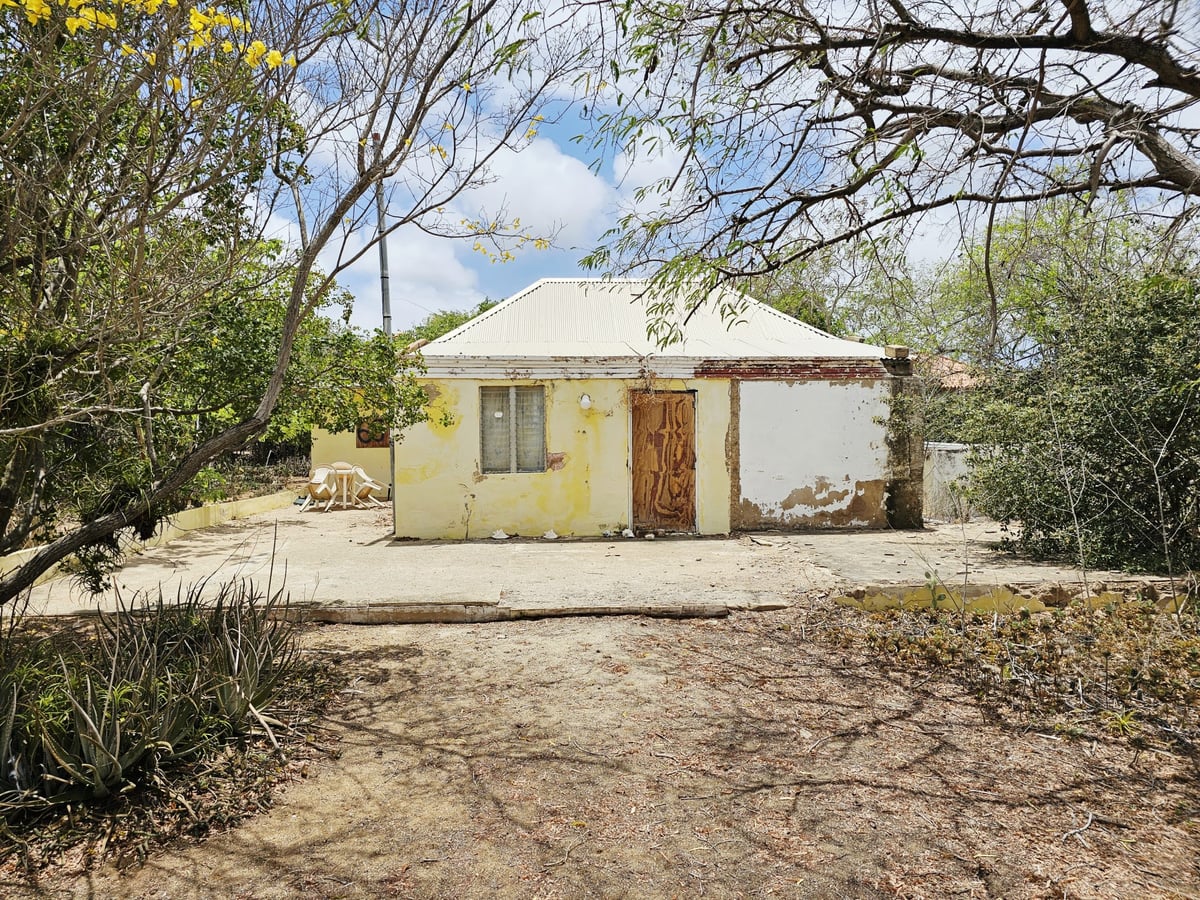 Main property