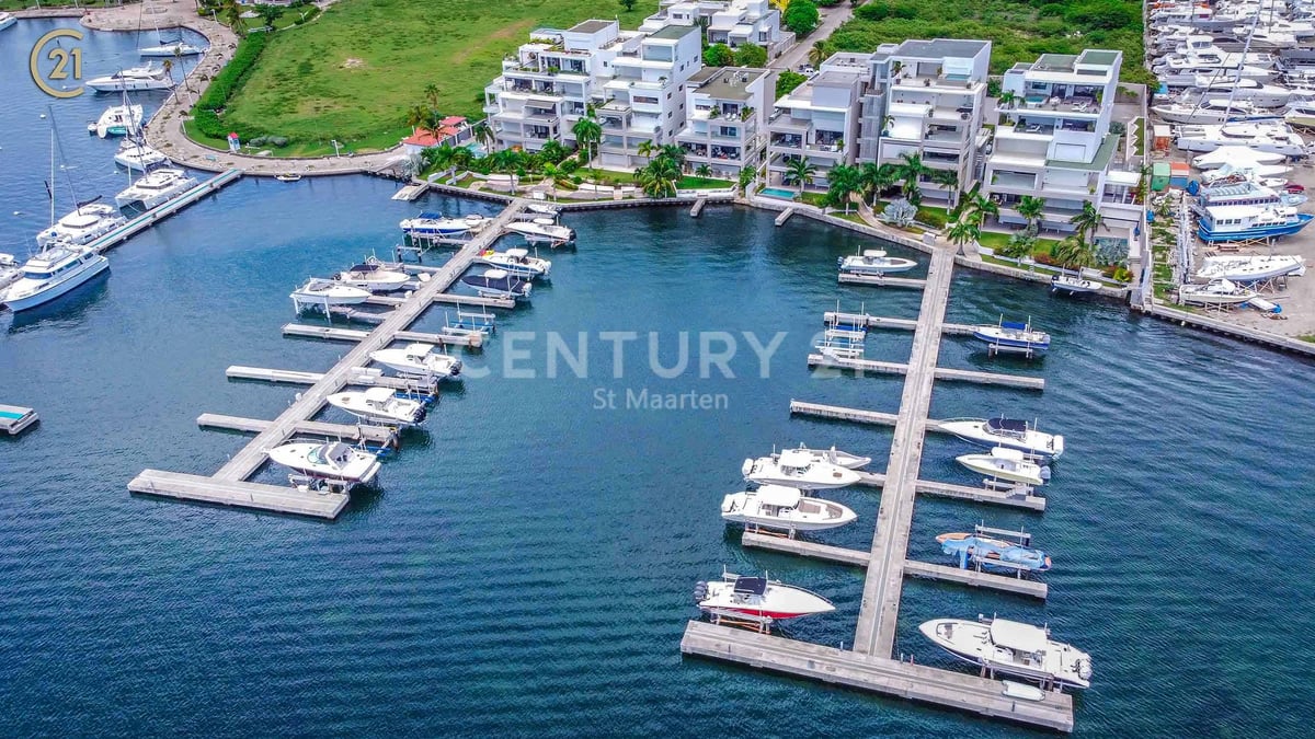 Main property