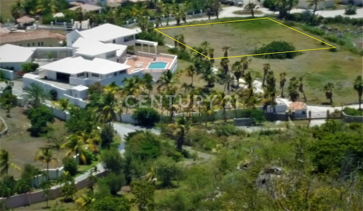 Main property