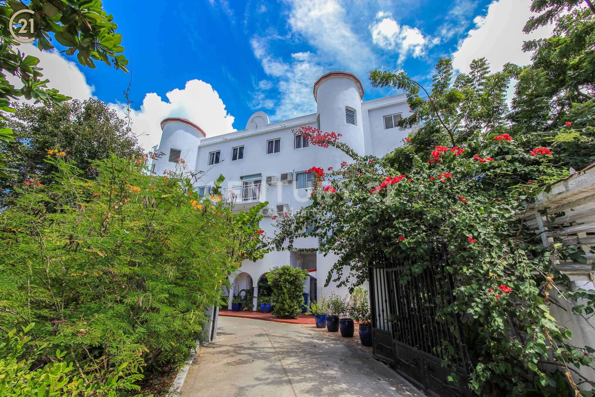 Main property
