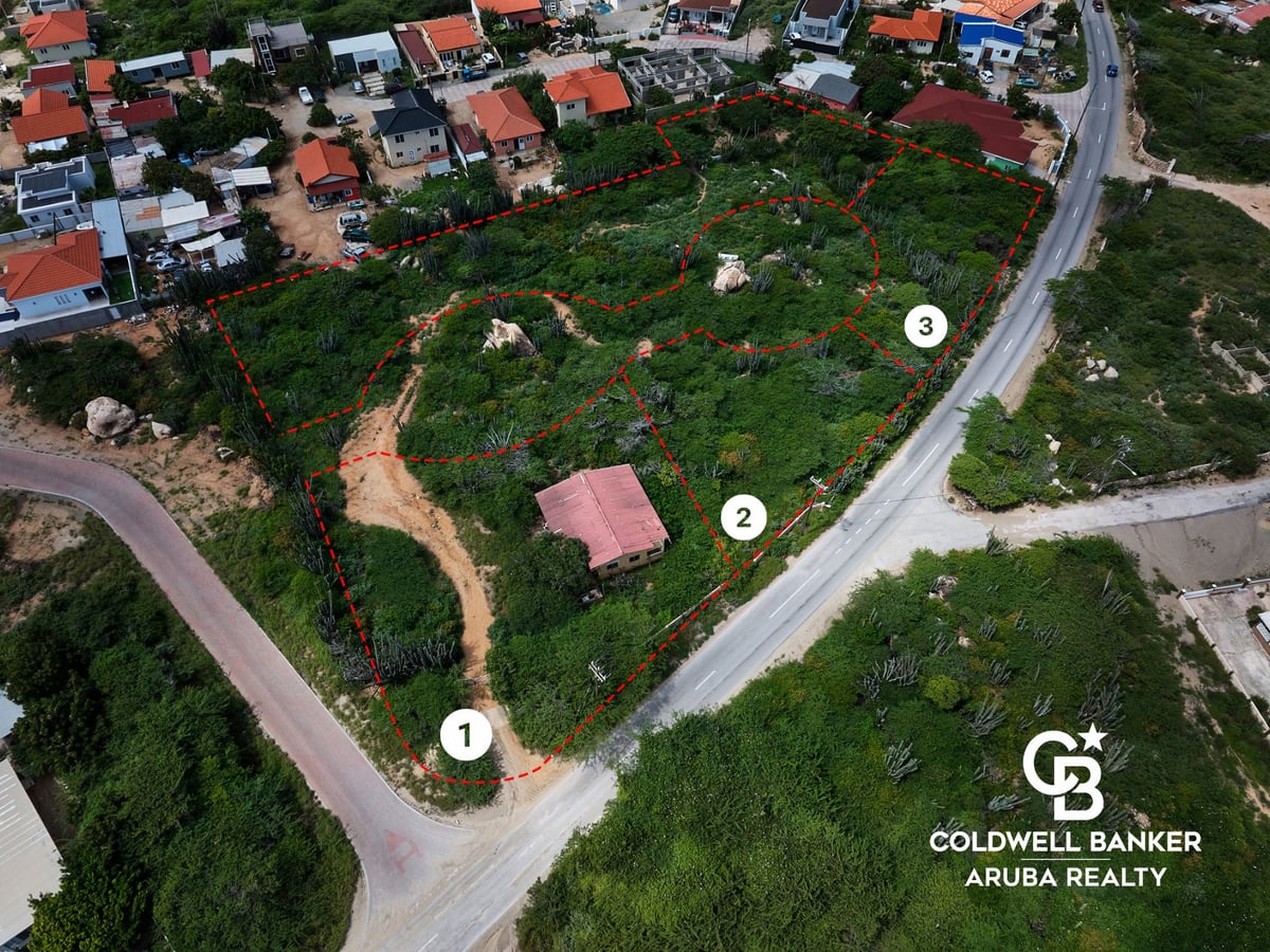 Main property