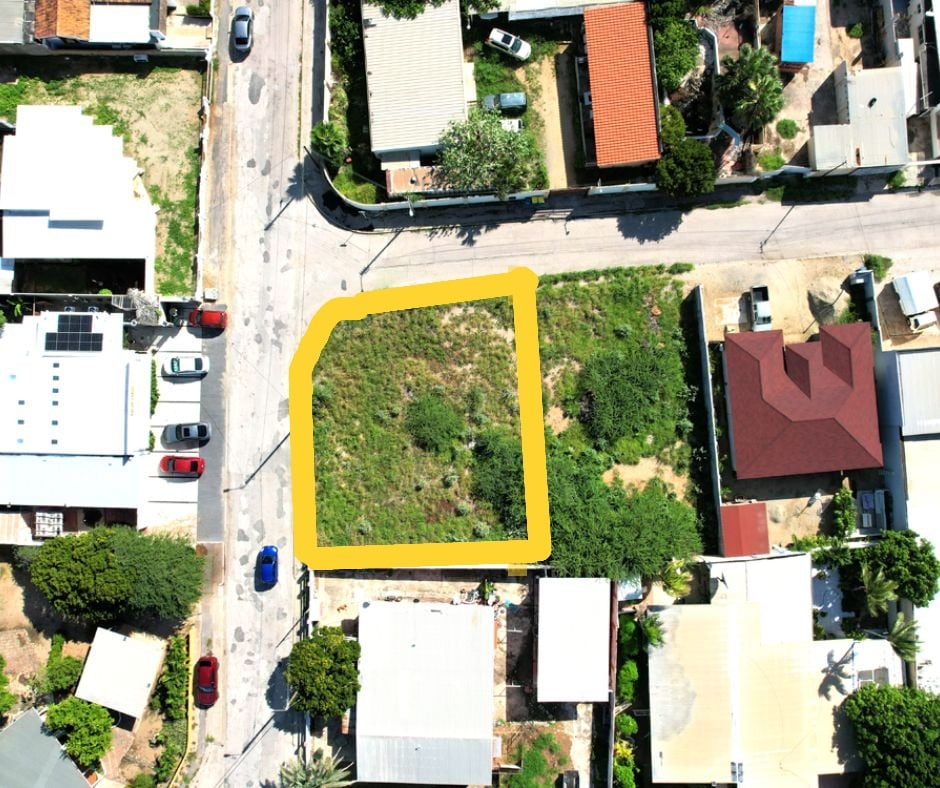 Main property