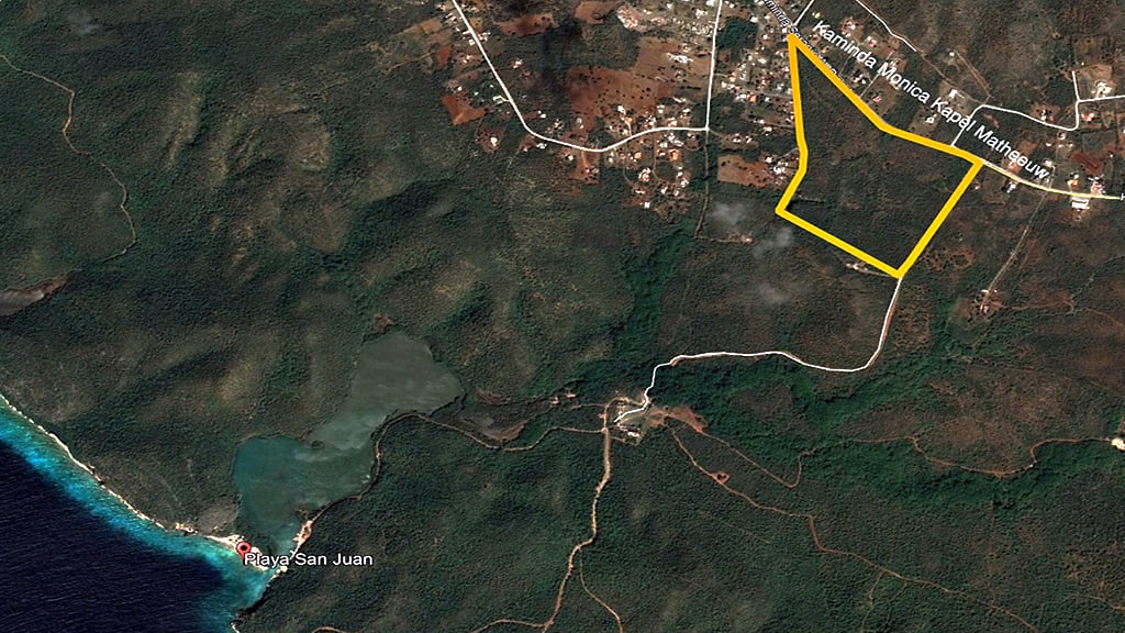 Main property