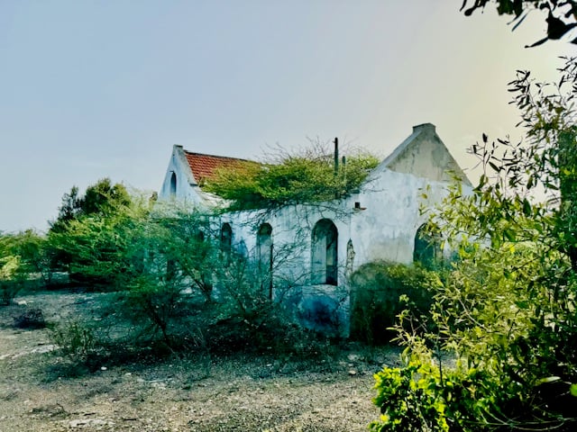 Main property