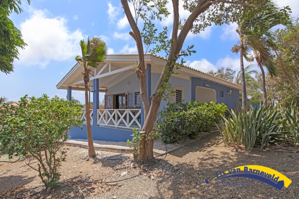 Main property