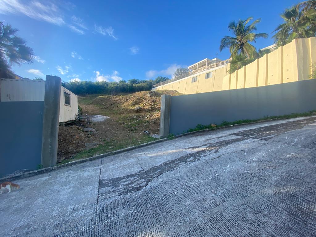 Main property