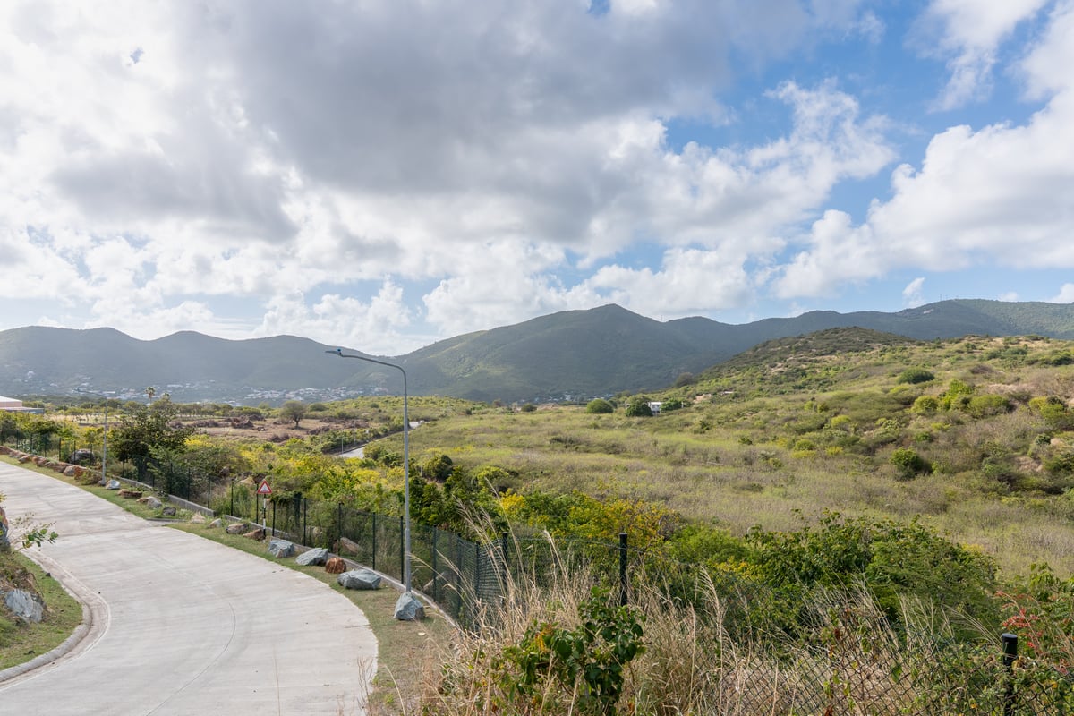 Main property
