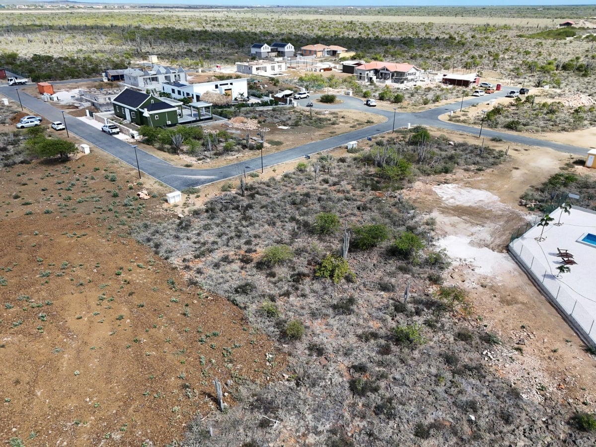 Main property