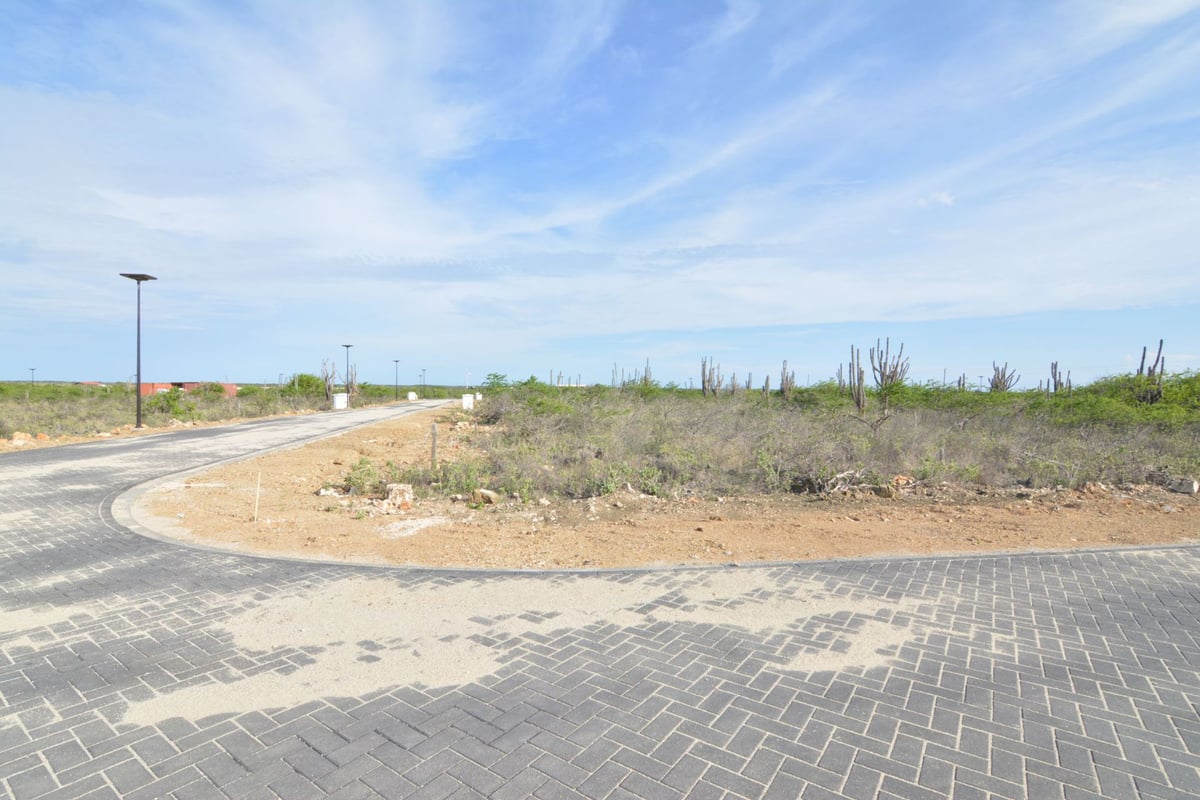 Main property
