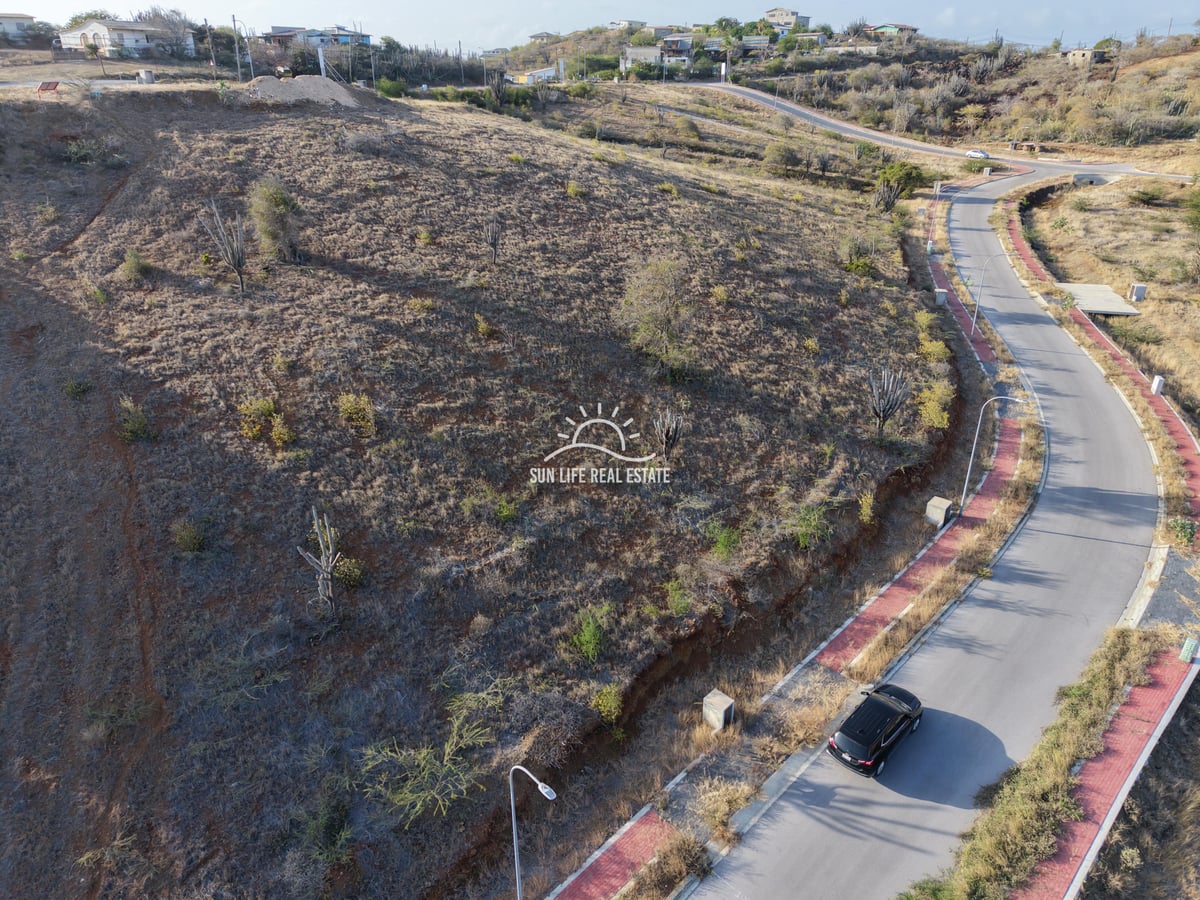 Main property