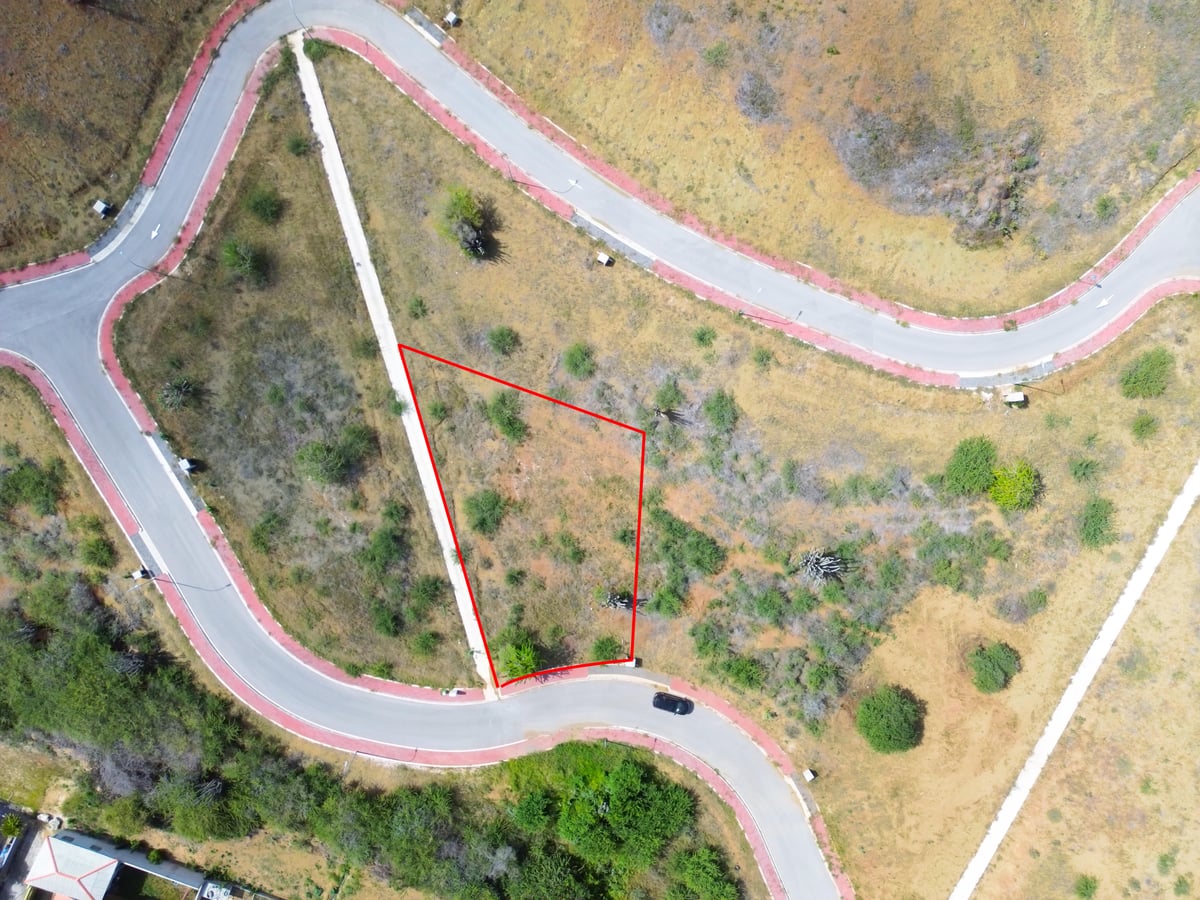 Main property