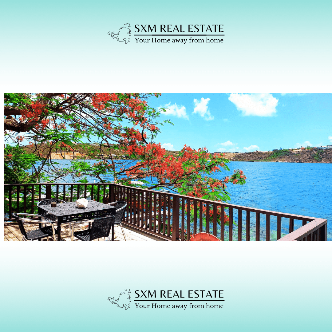 Main property